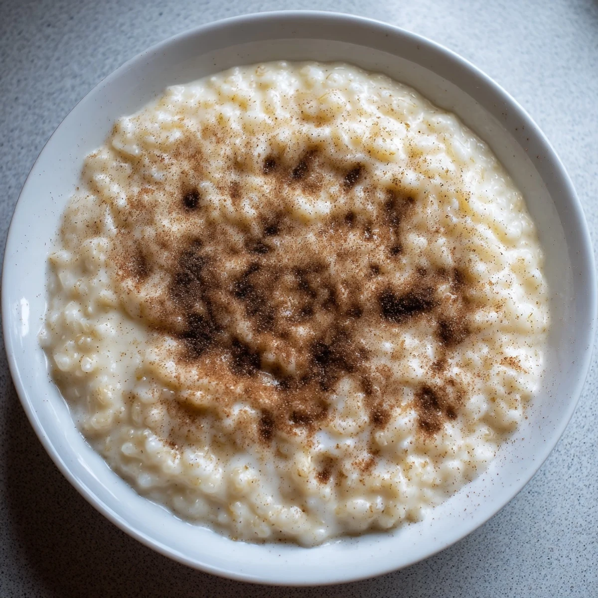 A warm bowl of creamy Rice Pudding with Leftover Rice, sprinkled with sweet cinnamon for serving.
