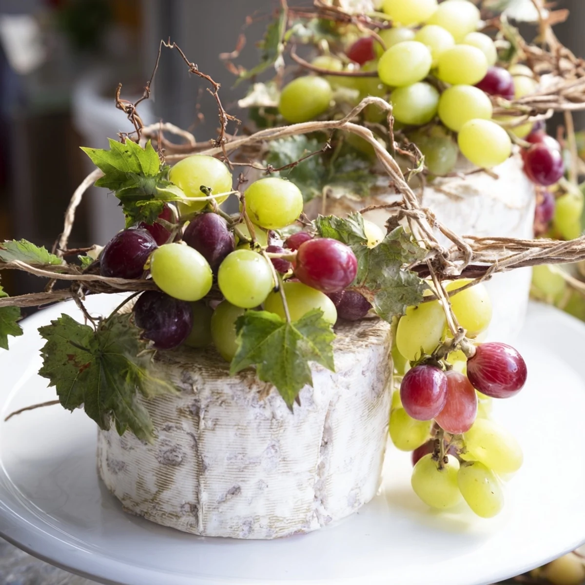 The Rustic Vineyard: a stunning cheese board featuring young cheese wheels and fresh grape clusters.